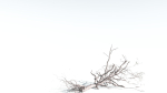 EVERYPlant Portia Tree 4 --14 Models--