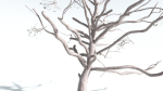 EVERYPlant Portia Tree 4 --14 Models--