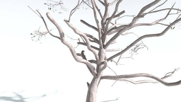 EVERYPlant Portia Tree 4 --14 Models--