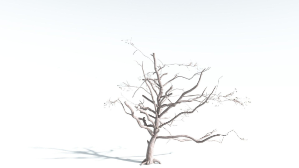EVERYPlant Portia Tree 4 --14 Models--