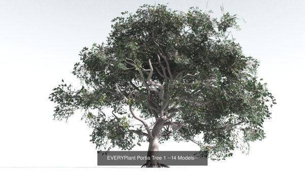 EVERYPlant Portia Tree Bundle --56 Models--
