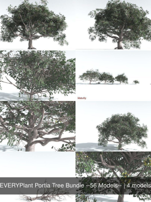 EVERYPlant Portia Tree Bundle --56 Models--