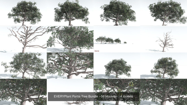EVERYPlant Portia Tree Bundle --56 Models--