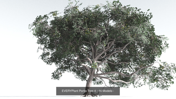 EVERYPlant Portia Tree Bundle --56 Models--