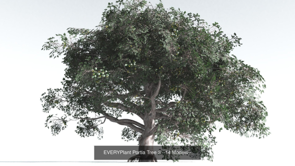 EVERYPlant Portia Tree Bundle --56 Models--