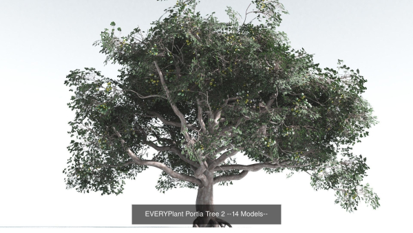 EVERYPlant Portia Tree Bundle --56 Models--