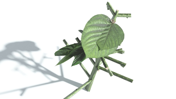 EVERYPlant Portia Tree LowPoly 1 --14 Models--