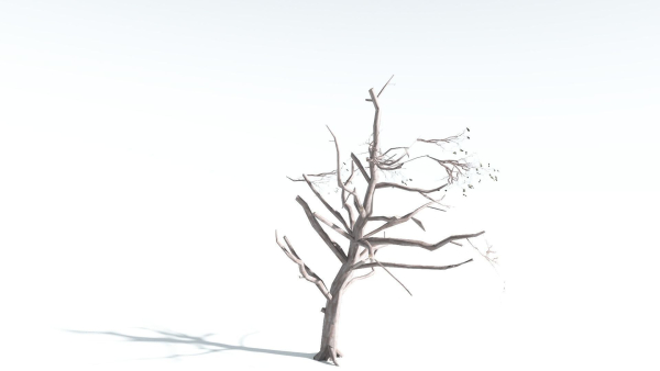 EVERYPlant Portia Tree LowPoly 1 --14 Models--