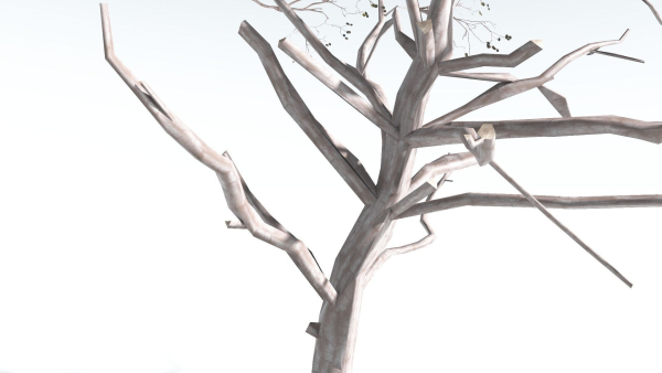 EVERYPlant Portia Tree LowPoly 1 --14 Models--