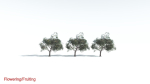 EVERYPlant Portia Tree LowPoly 1 --14 Models--