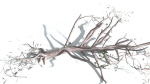 EVERYPlant Portia Tree LowPoly 1 --14 Models--