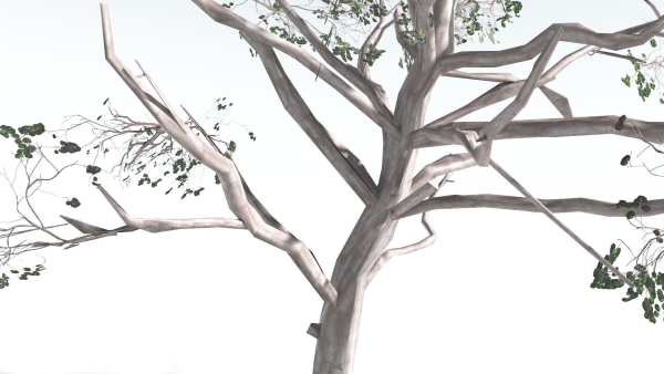 EVERYPlant Portia Tree LowPoly 1 --14 Models--