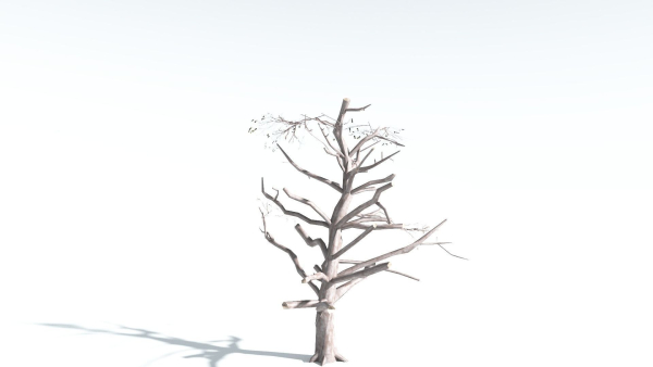 EVERYPlant Portia Tree LowPoly 2 --14 Models--