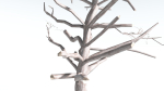 EVERYPlant Portia Tree LowPoly 2 --14 Models--