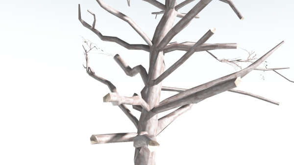 EVERYPlant Portia Tree LowPoly 2 --14 Models--