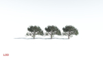 EVERYPlant Portia Tree LowPoly 2 --14 Models--