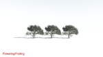 EVERYPlant Portia Tree LowPoly 2 --14 Models--