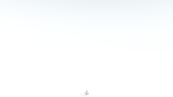 EVERYPlant Portia Tree LowPoly 3 --14 Models--
