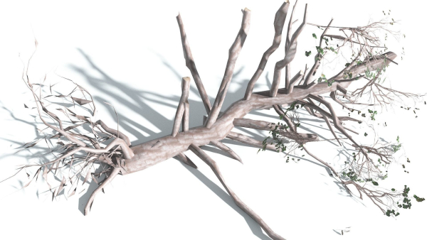 EVERYPlant Portia Tree LowPoly 3 --14 Models--