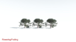 EVERYPlant Portia Tree LowPoly 3 --14 Models--