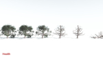 EVERYPlant Portia Tree LowPoly 3 --14 Models--