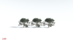 EVERYPlant Portia Tree LowPoly 3 --14 Models--