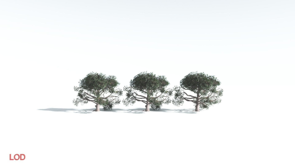 EVERYPlant Portia Tree LowPoly 3 --14 Models--