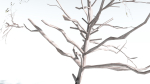 EVERYPlant Portia Tree LowPoly 4 --14 Models--