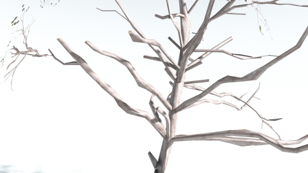 EVERYPlant Portia Tree LowPoly 4 --14 Models--
