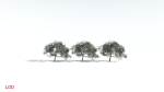 EVERYPlant Portia Tree LowPoly 4 --14 Models--