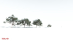 EVERYPlant Portia Tree LowPoly 4 --14 Models--