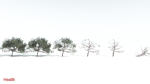 EVERYPlant Portia Tree LowPoly 4 --14 Models--