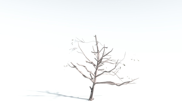 EVERYPlant Portia Tree LowPoly 4 --14 Models--