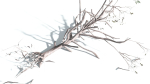 EVERYPlant Portia Tree LowPoly 4 --14 Models--