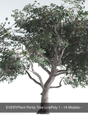 everyplant-psaronius-tree-fern-lowpoly-bundle-12-models-3d-model-1ede63197a