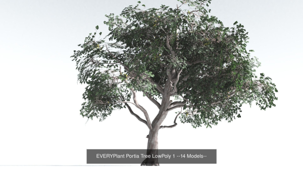 EVERYPlant Psaronius Tree Fern LowPoly Bundle --12 Models--