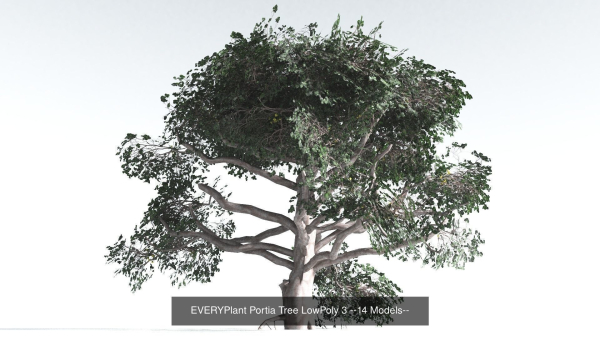 EVERYPlant Psaronius Tree Fern LowPoly Bundle --12 Models--