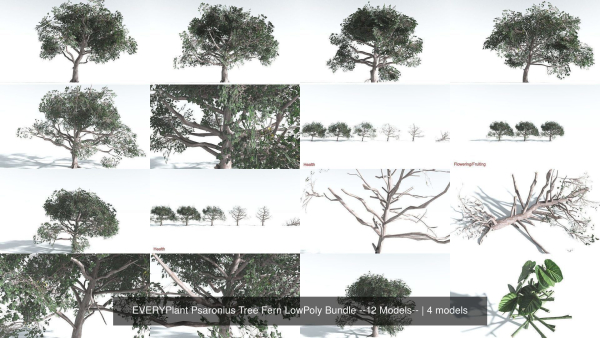 EVERYPlant Psaronius Tree Fern LowPoly Bundle --12 Models--