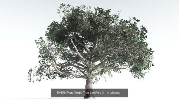 EVERYPlant Psaronius Tree Fern LowPoly Bundle --12 Models--