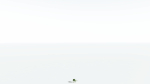 EVERYPlant Umbrella Thorn Acacia 1 --12 Models--