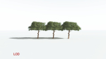 EVERYPlant Umbrella Thorn Acacia 2 --12 Models--