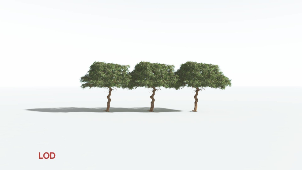 EVERYPlant Umbrella Thorn Acacia 2 --12 Models--