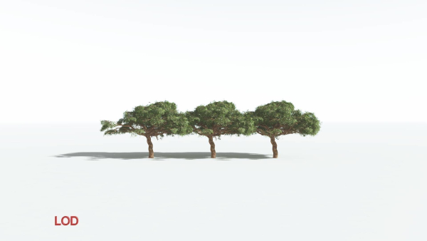 EVERYPlant Umbrella Thorn Acacia 3 --12 Models--