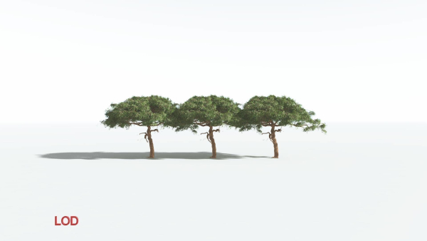 EVERYPlant Umbrella Thorn Acacia 4 --12 Models--
