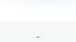 EVERYPlant Umbrella Thorn Acacia 4 --12 Models--