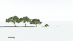EVERYPlant Umbrella Thorn Acacia LowPoly 1 --12 Models--