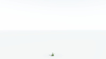 EVERYPlant Umbrella Thorn Acacia LowPoly 1 --12 Models--