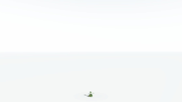 EVERYPlant Umbrella Thorn Acacia LowPoly 1 --12 Models--