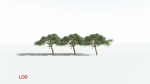 EVERYPlant Umbrella Thorn Acacia LowPoly 1 --12 Models--