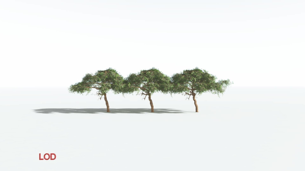 EVERYPlant Umbrella Thorn Acacia LowPoly 1 --12 Models--